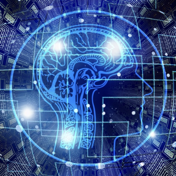 Projection documentaire – L’apport des neurosciences dans le domaine sportif